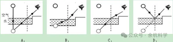 【中考复习】物理专题知识点⑦:声和光 第28张