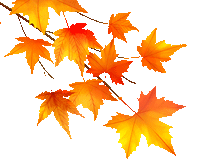 浦北县第六中学2026年中考百日冲刺誓师活动成功举办 第9张