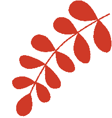 浦北县第六中学2026年中考百日冲刺誓师活动成功举办 第12张