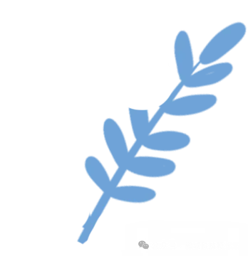 深圳中考一类自主招生简历如何填写,赠送简历模板! 第2张