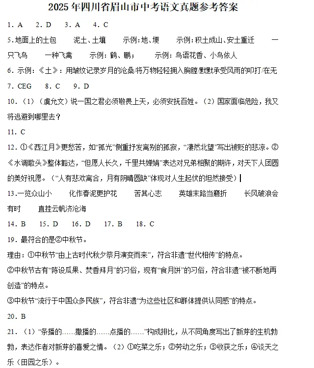 2025年四川省眉山市中考语文真题 第7张