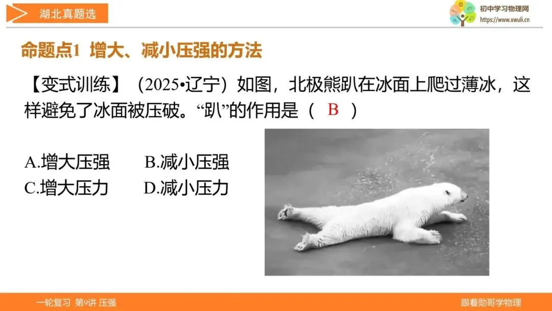 第9讲 压强(湖北新中考备考与指导) 第33张 第9讲 压强(湖北新中考备考与指导) 第33张