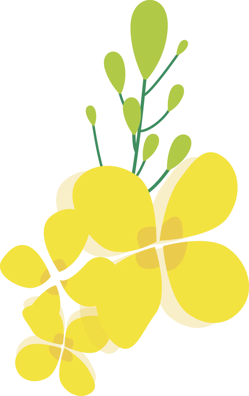 白杨中学2026年春开学典礼暨中考誓师大会 第51张