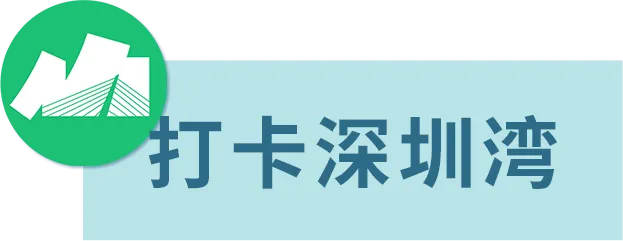 1个科目改为开卷!深圳2026中考招生通知公布 第21张