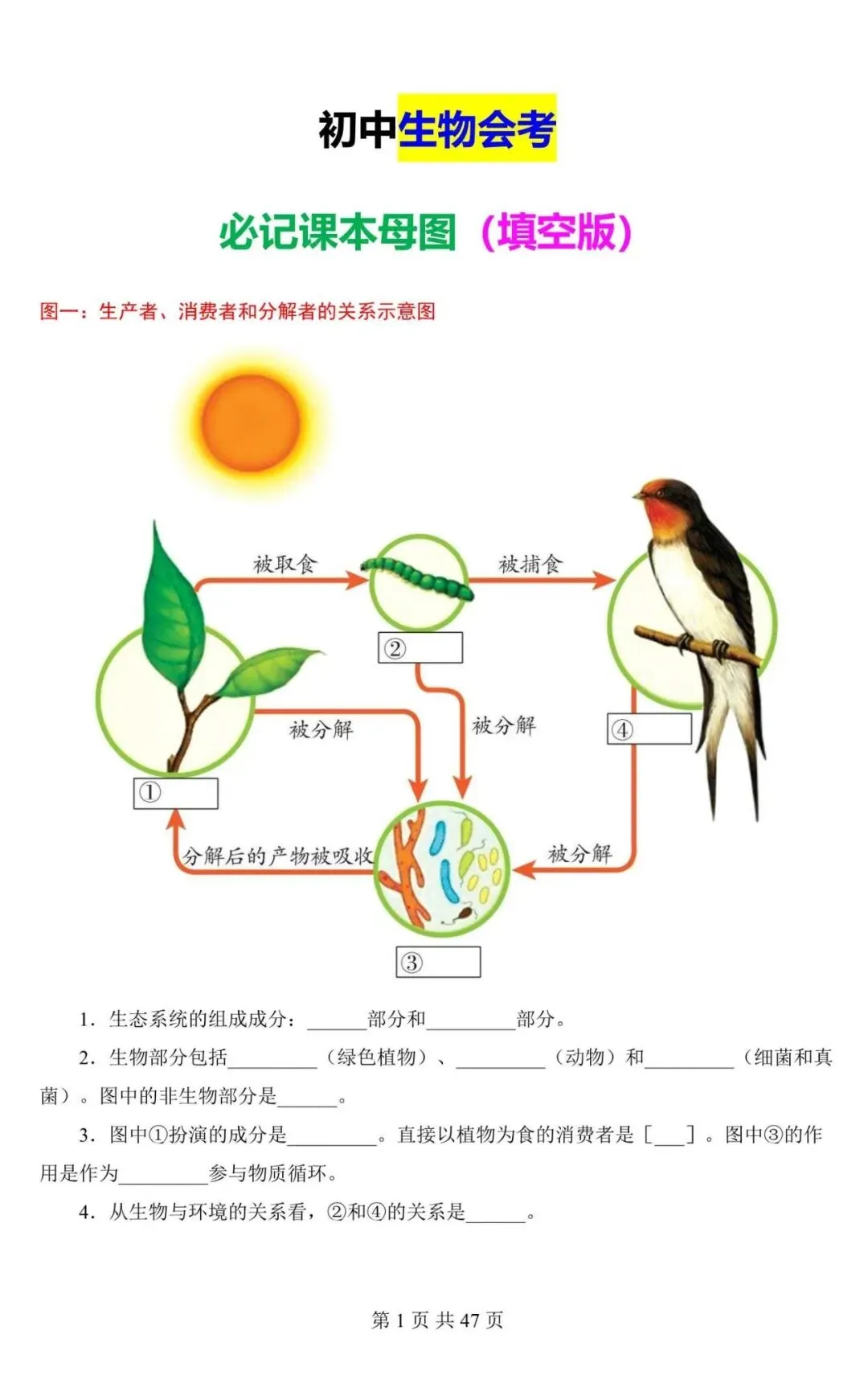 生物会考|2026中考生物会考必记课本彩色母图(填图练习),电子版可下载打印! 第1张