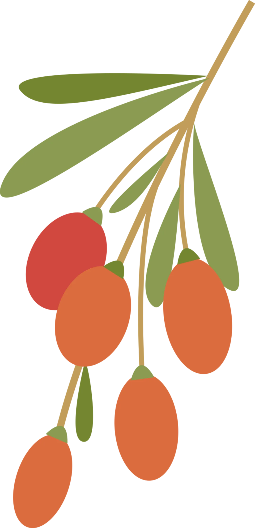 免费分享·辽宁大连2026高三上学期双基模拟一考试题及答案(语数英地生物化政历) 第9张