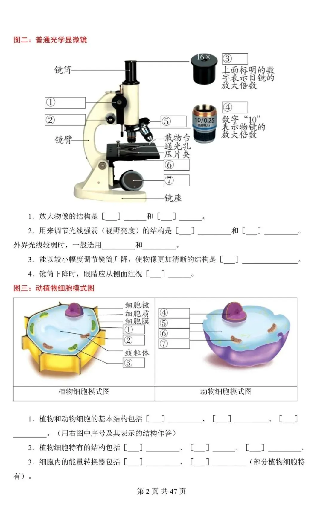 生物会考|2026中考生物会考必记课本彩色母图(填图练习),附答案解析,完整电子版可打印! 第2张