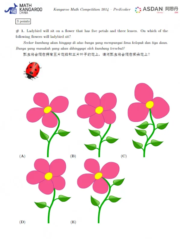 袋鼠数学竞赛真题来了!2013-2025全套L1-L6,中英双语+解析 第6张