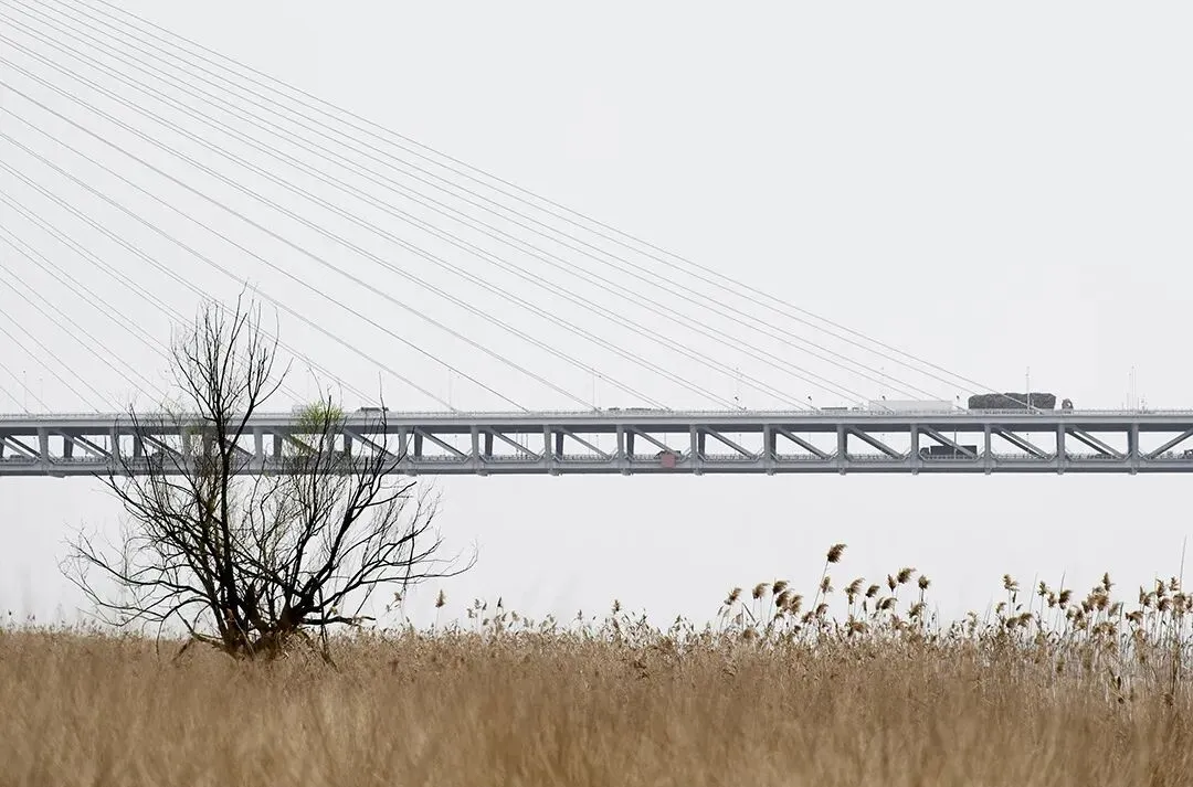 中考现场满分作文:勇敢是带着伤口的微笑 第2张