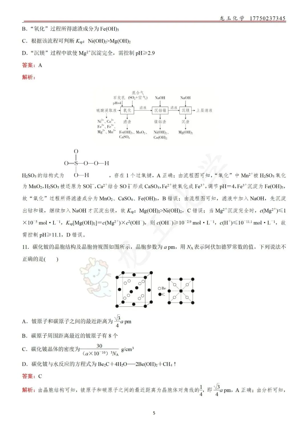 高考选择限时练真题 解析版 第5张