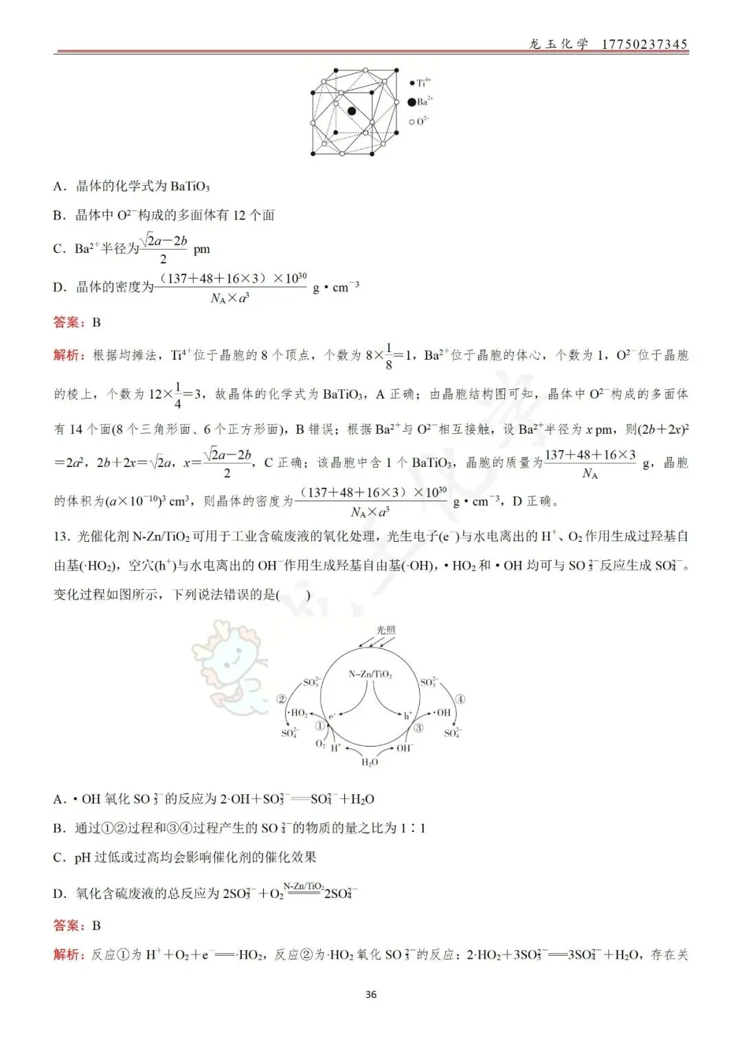 高考选择限时练真题 解析版 第36张