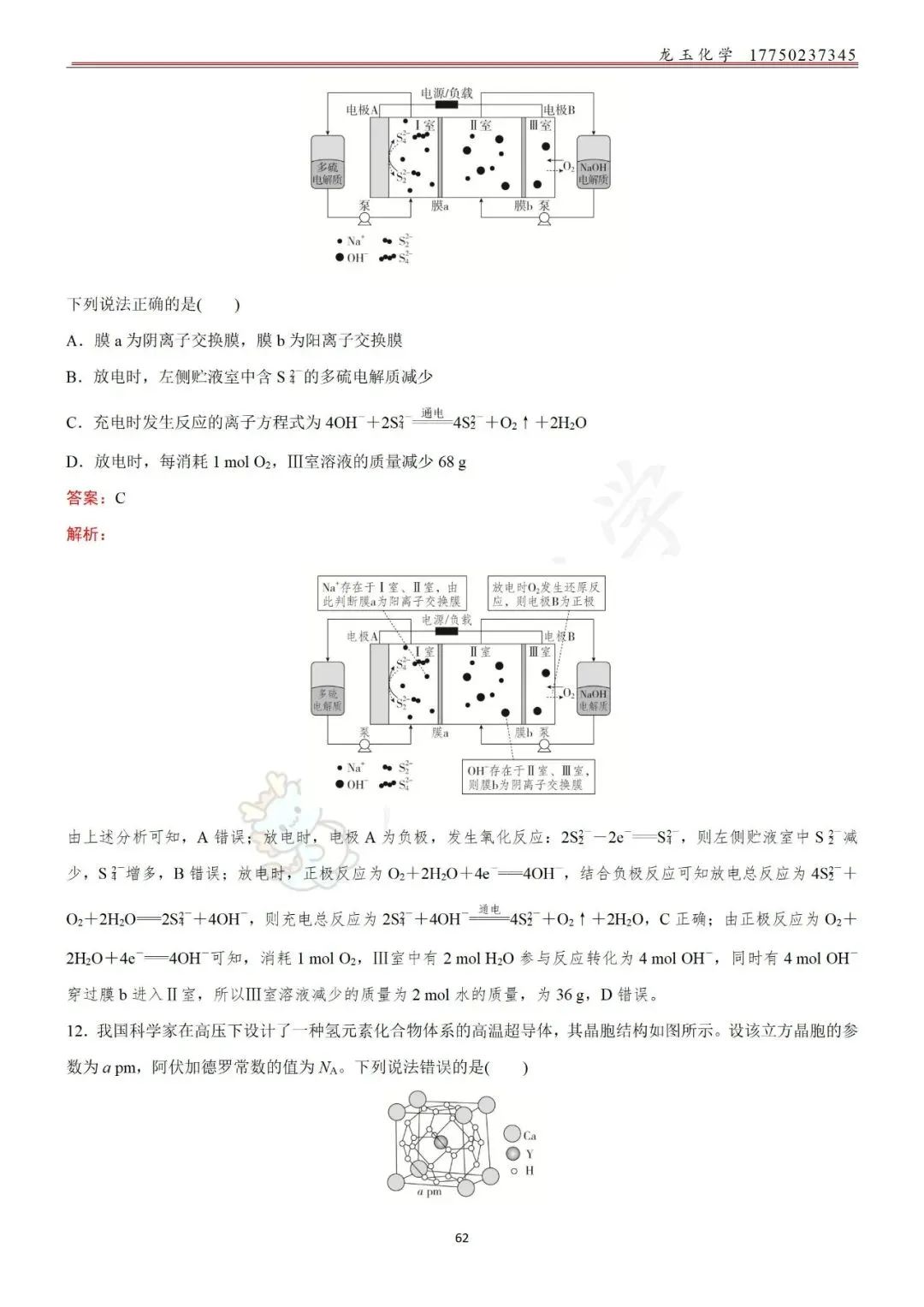 高考选择限时练真题 解析版 第62张