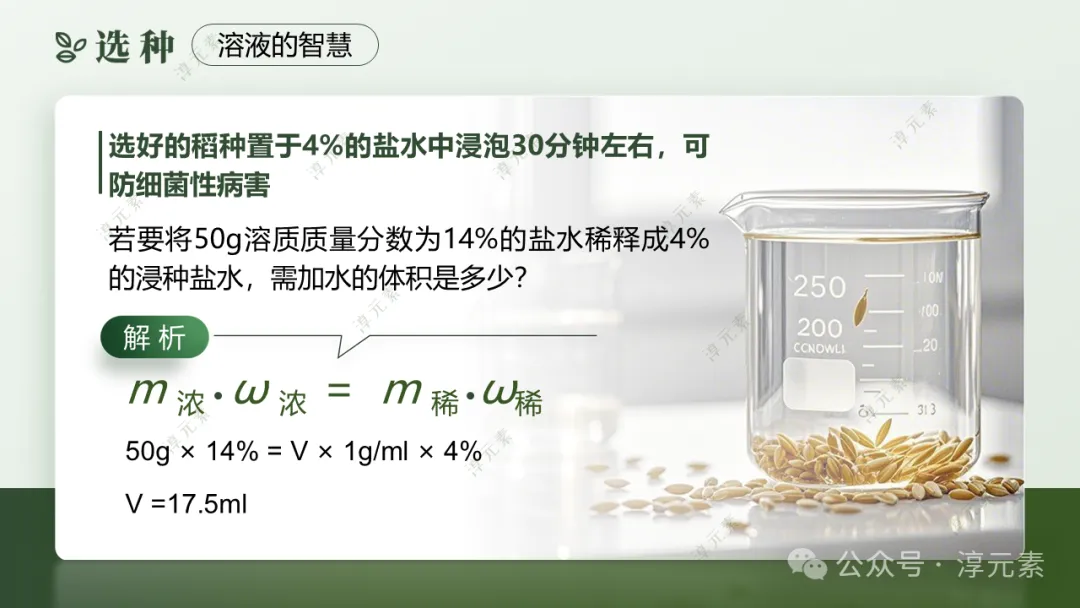 中考复习专题:稻香里的强国梦(溶液大单元复习) 第10张