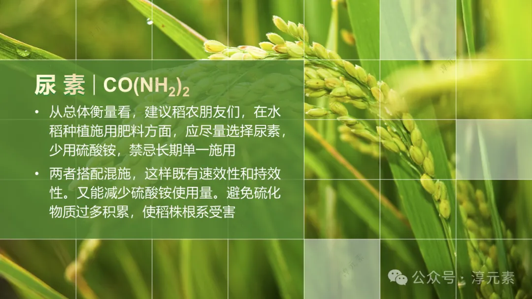 中考复习专题:稻香里的强国梦(溶液大单元复习) 第13张