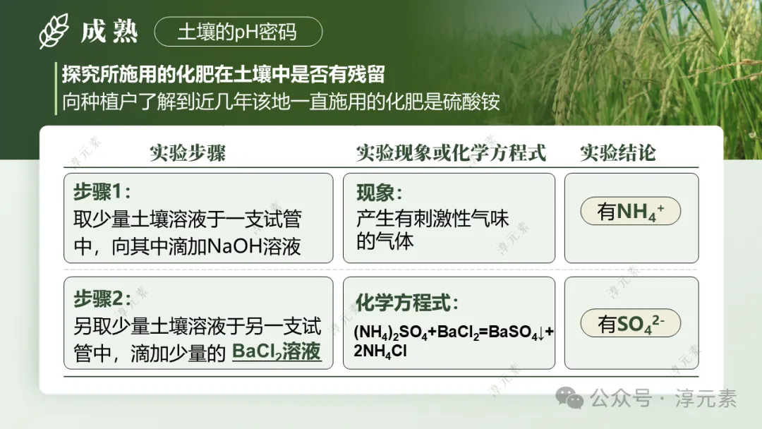 中考复习专题:稻香里的强国梦(溶液大单元复习) 第16张