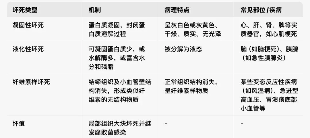 2026医疗事业编|医学基础知识真题(3月17日) 第1张