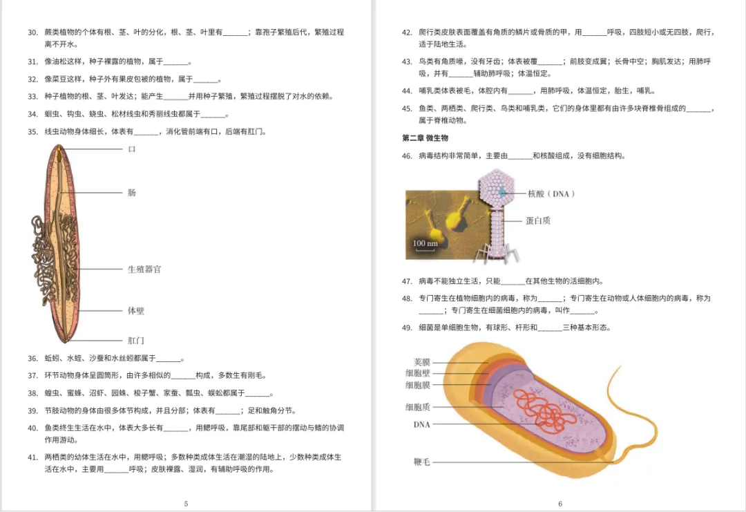 冲刺中考・回归教材・基础必刷||初中生物教材原文填空全册(冀少版新版全4册)可直接打印 第6张