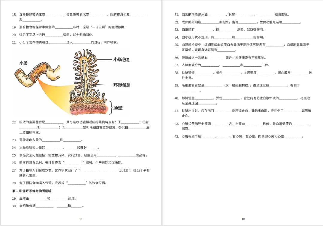 冲刺中考・回归教材・基础必刷||初中生物教材原文填空全册(冀少版新版全4册)可直接打印 第8张
