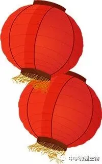 冲刺中考・回归教材・基础必刷||初中生物教材原文填空全册(冀少版新版全4册)可直接打印 第14张