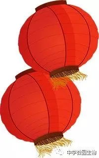 冲刺中考・回归教材・基础必刷||初中生物教材原文填空全册(冀少版新版全4册)可直接打印 第15张