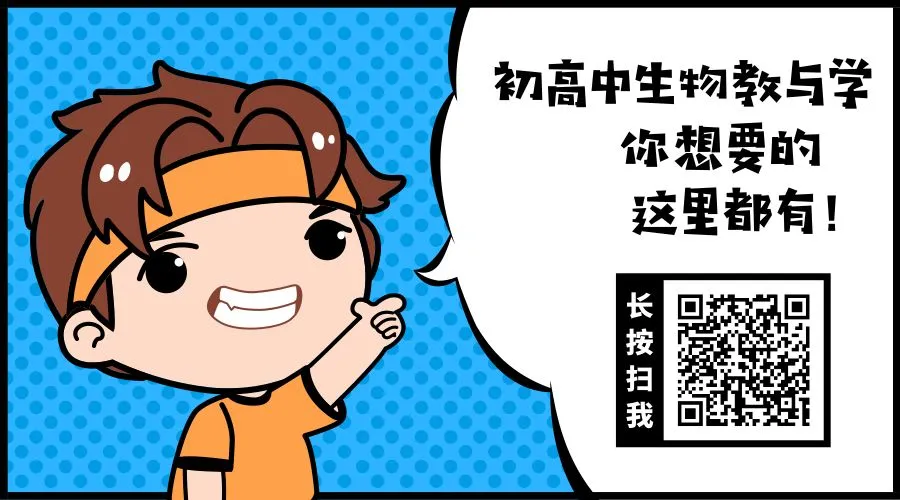冲刺中考・回归教材・基础必刷||初中生物教材原文填空全册(冀少版新版全4册)可直接打印 第16张
