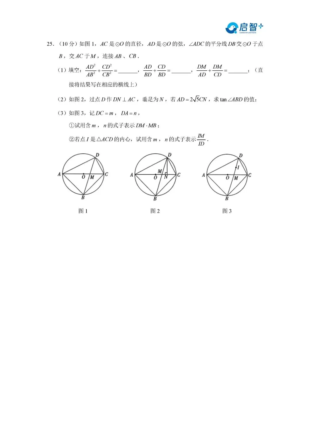 2026七上长郡试卷分析【视频讲解】+【试卷分析】 第38张