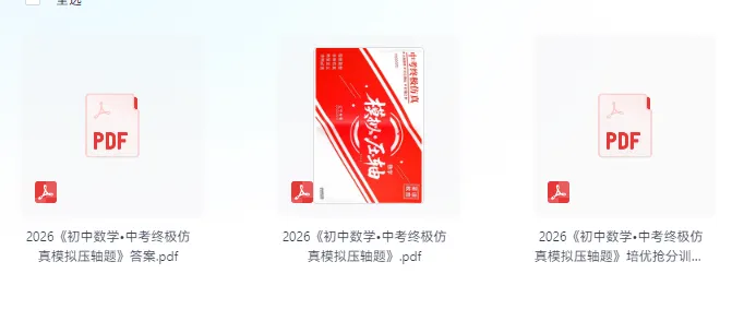 2026版数学《中考终极仿真模拟压轴题》 第1张 2026版数学《中考终极仿真模拟压轴题》 第1张
