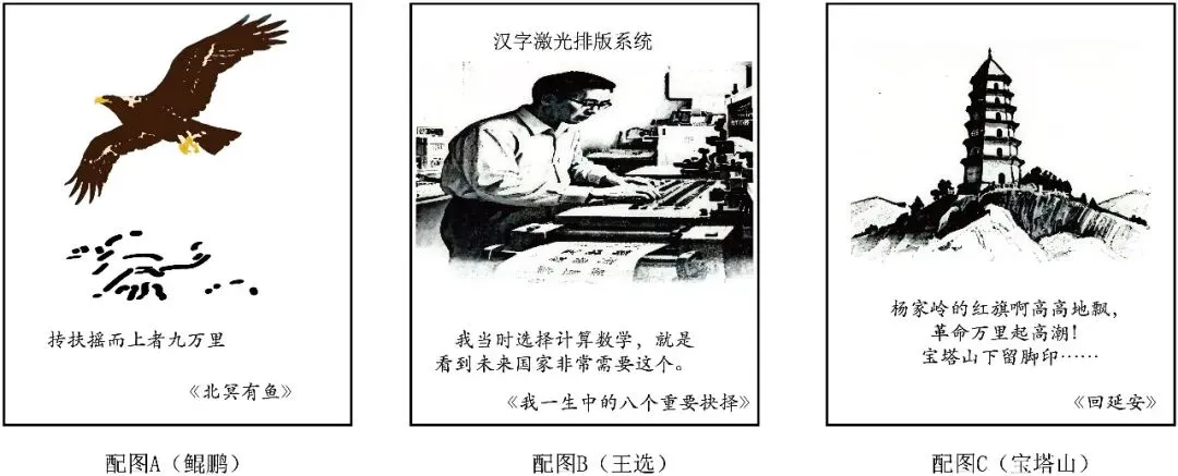 2024-2025八下期末真题汇编-积累运用综合性学习47组(浙江专用) 第42张