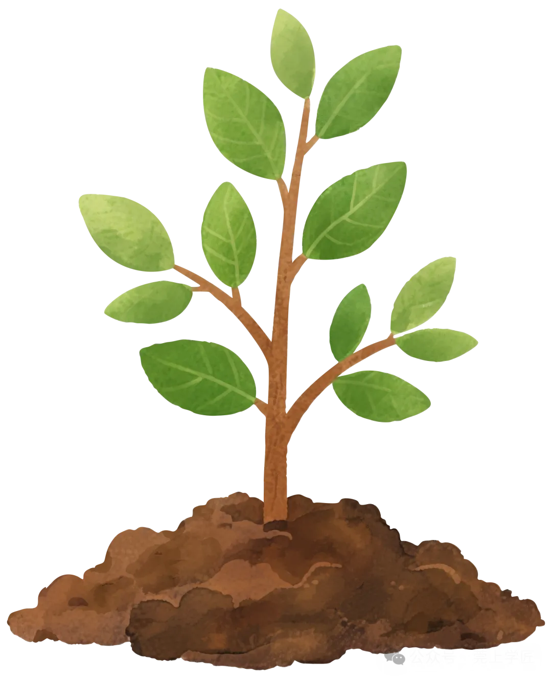 广州市中职学校大全!公办民办全整理丨附中考录取分数线 第10张