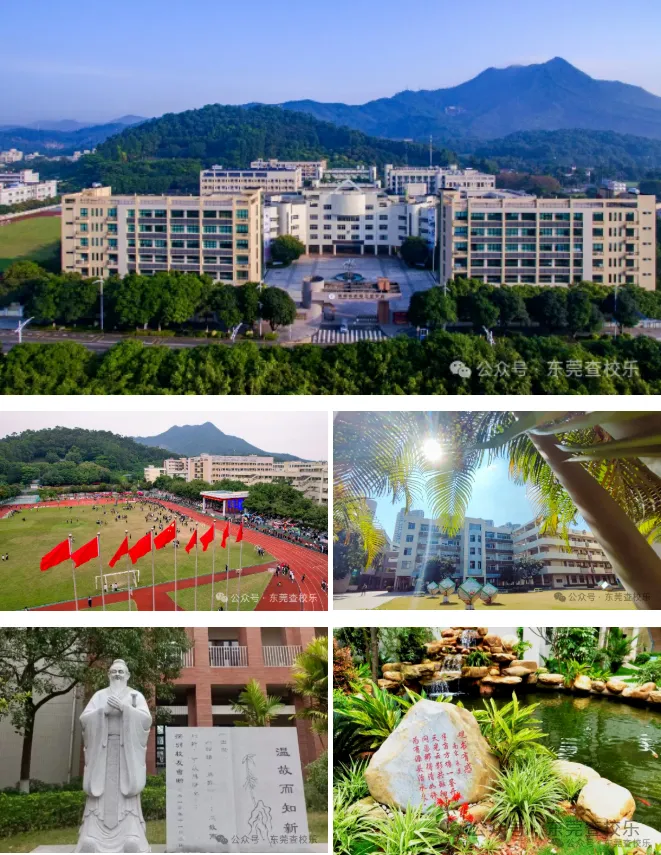 东莞中考分数低不用慌,中职逆袭指南 第5张