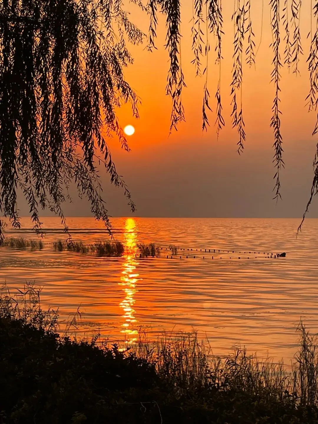 2024-2025八下期末真题汇编-文言文阅读25组(浙江专用) 第2张