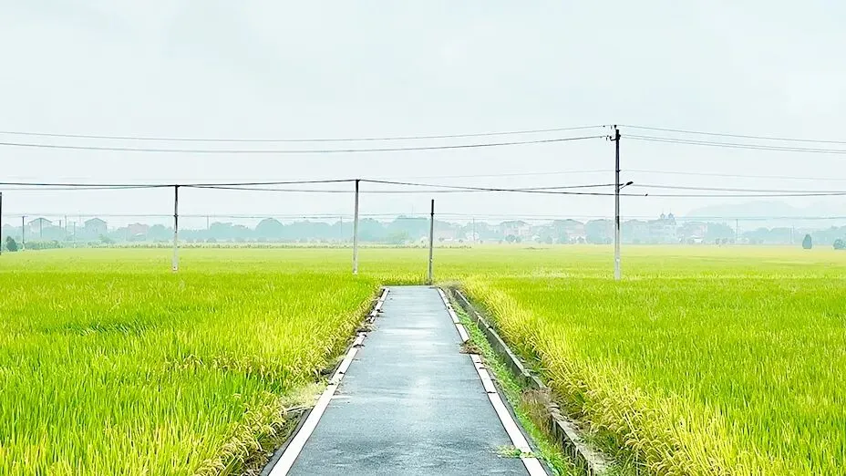 2026西安中考报名正式启动!考生全指南 第14张