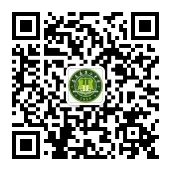 【二中教学】百日冲刺 决战中考——泰来二中2026届毕业年级百日誓师大会 第33张