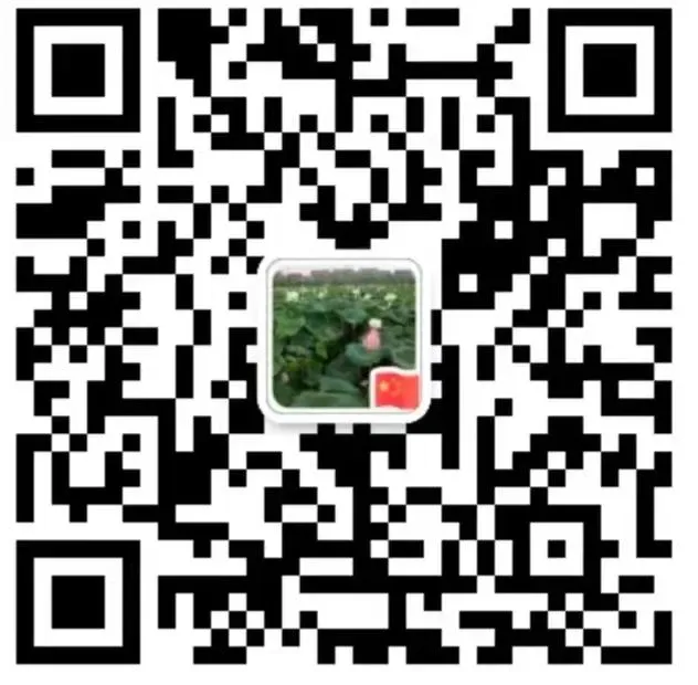 我县举行高三体育高考模拟测试赛 第22张