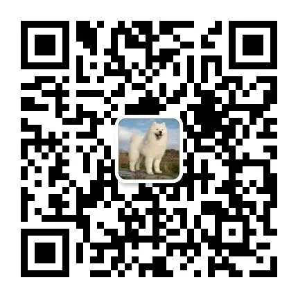 我县举行高三体育高考模拟测试赛 第25张