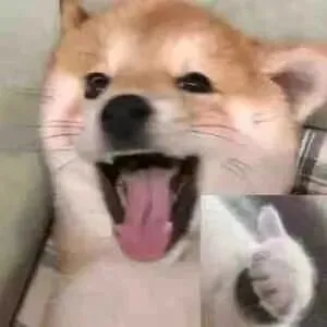 【真题领取】2026 CCC加拿大化学竞赛小班课报名开启:备赛干货+冲奖小班课!AmazingX助你冲刺金奖! 第12张