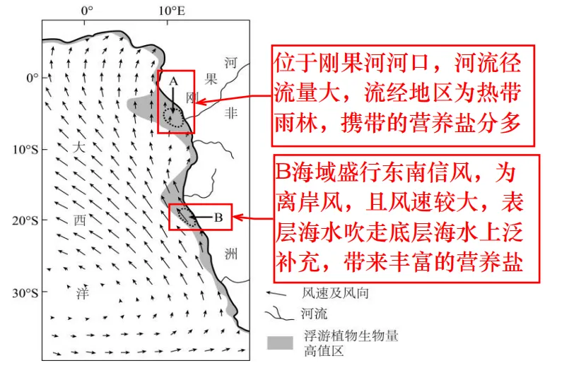 【真题拆解】2025年山东卷那道“海水溶解氧”的题 第2张
