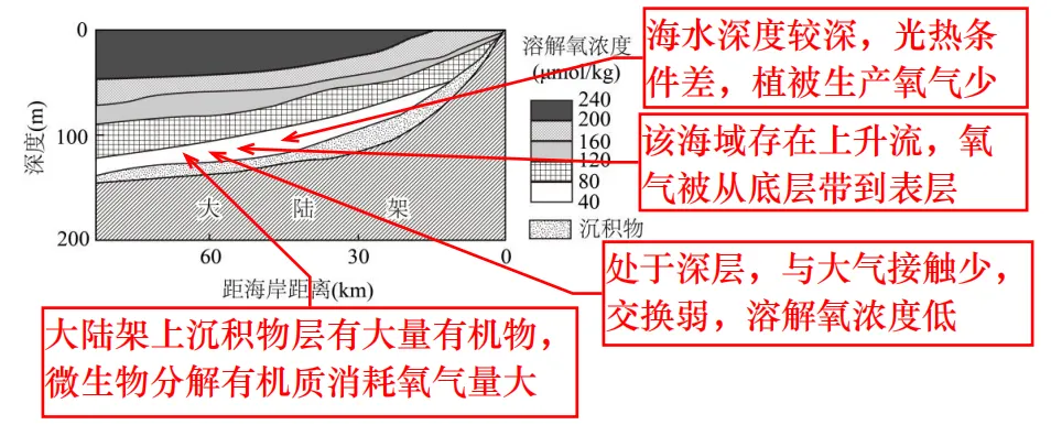 【真题拆解】2025年山东卷那道“海水溶解氧”的题 第3张
