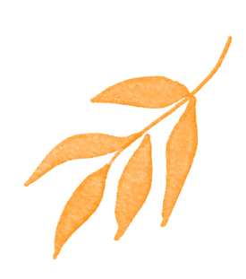 两会再提取消中考分流!福建中考如何分流? 第12张