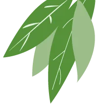 《名校导练》2026年中考语文四调模拟卷|重磅上线! 第1张