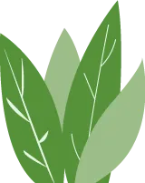 《名校导练》2026年中考语文四调模拟卷|重磅上线! 第3张