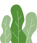 《名校导练》2026年中考语文四调模拟卷|重磅上线! 第4张