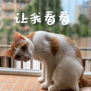 东莞中考情况分析!分数线为何普遍走高? 第3张