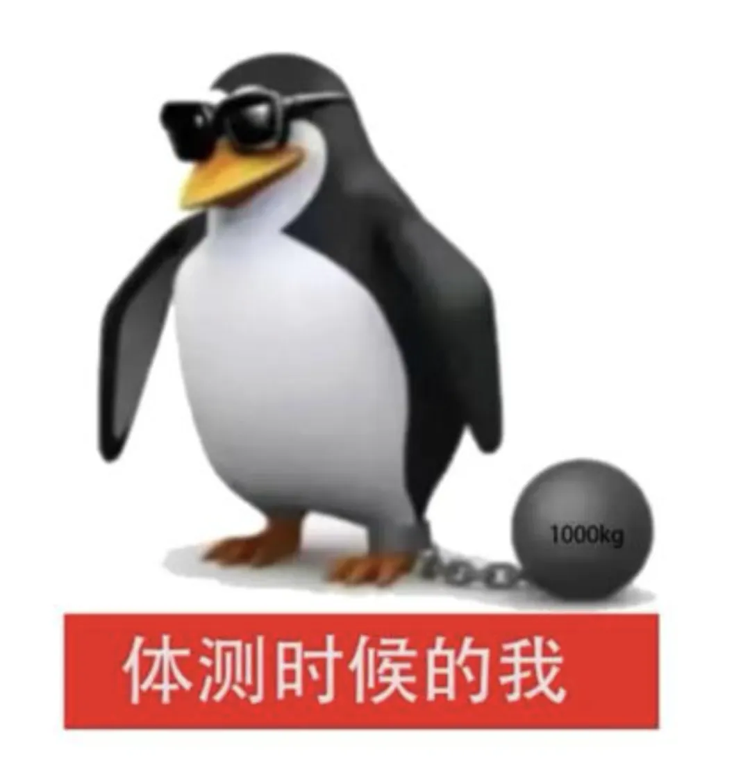 临时受伤要不要硬考?上海体育中考免考真相一次说清 第2张