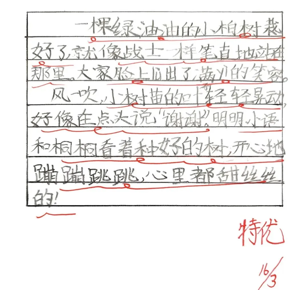 【试卷写话】看图写话:植树(二年级下册) 第6张