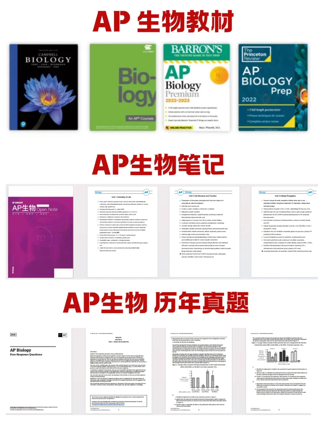 可速领!AP生物教材+笔记+历年真题全汇总~高清无水印分享 第1张
