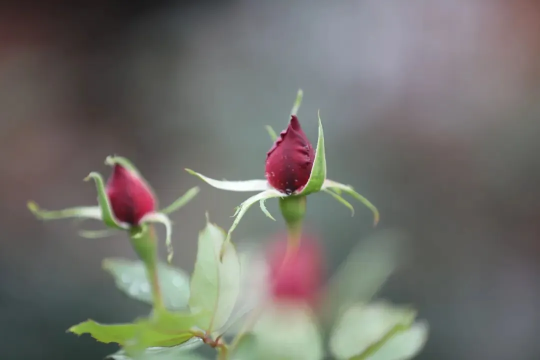 离中考89天丨名师讲座应该怎么听? 第5张