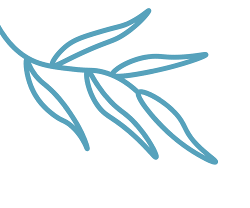 视导赋能促成长——网市中学开展中考复习备考主题教研活动 第3张