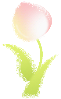 视导赋能促成长——网市中学开展中考复习备考主题教研活动 第32张