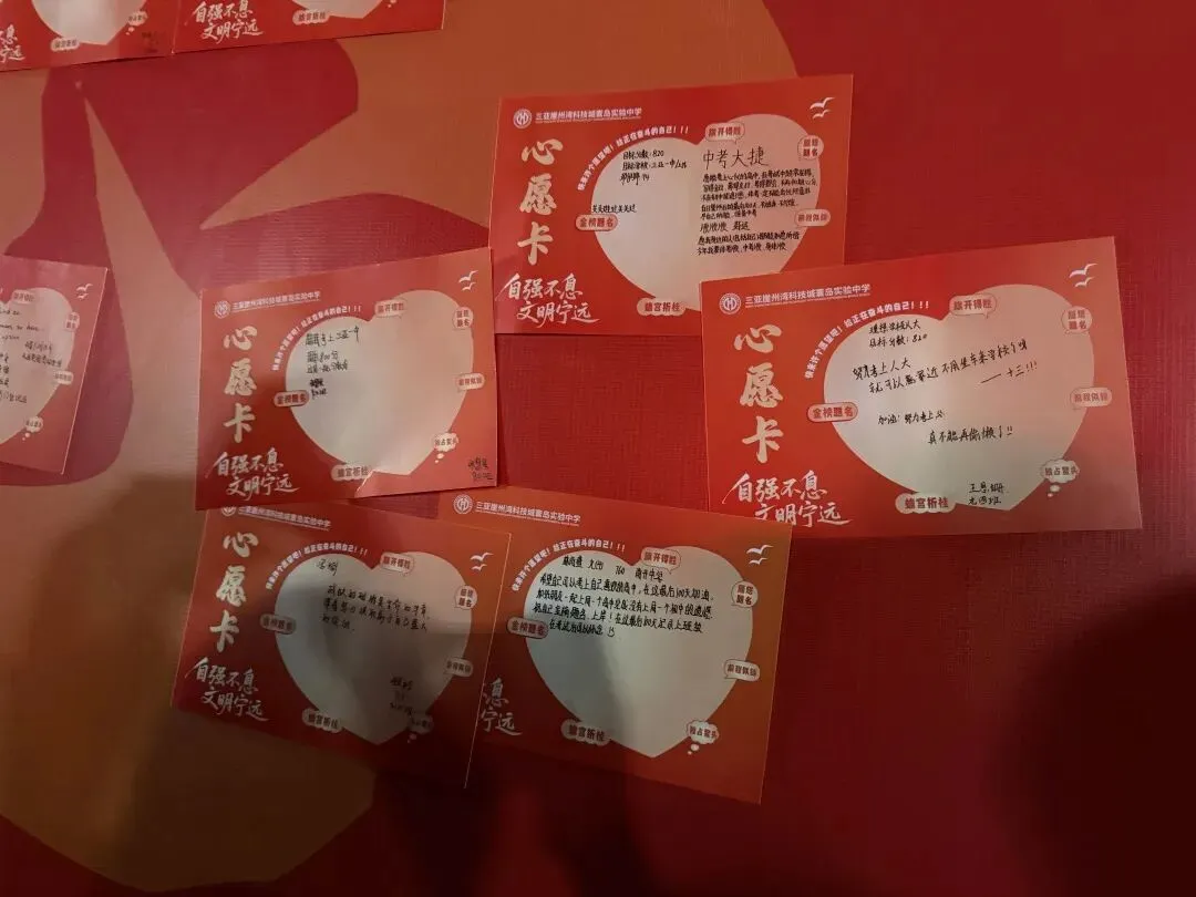 三亚崖州湾科技城寰岛实验中学中考百日誓师大会圆满举办 第48张